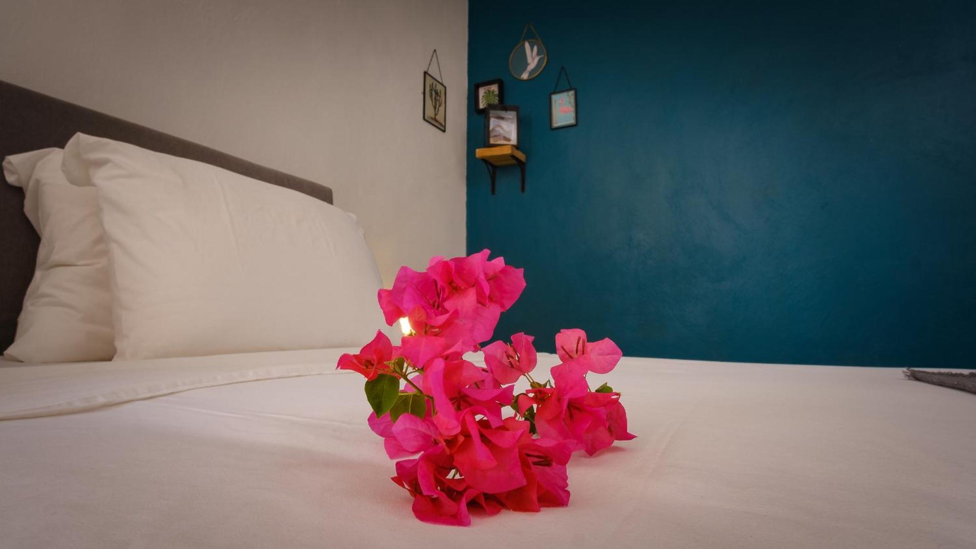 Saint Joris A Tiny Boutique Resort Willemstad Exterior foto